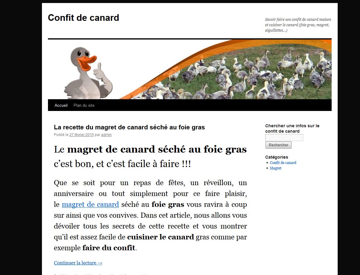 Détails : Confit de canard