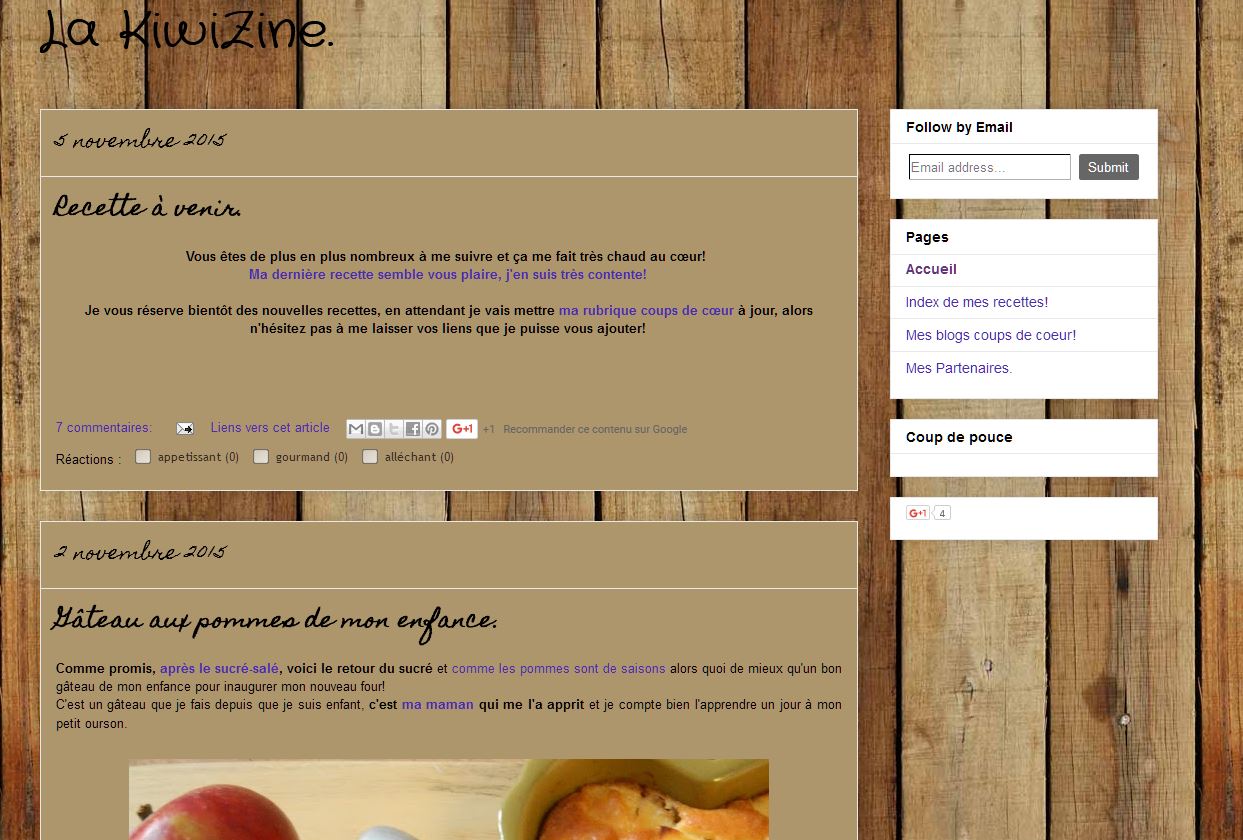 LaKiwiZine